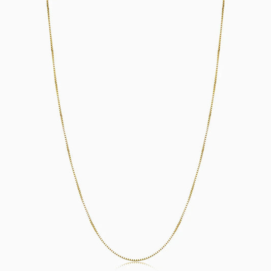 Bodega Collar Caja | Oro